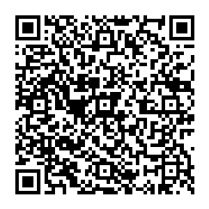 不仅仅是身体 更多的却是灵魂 就如现在 当他再次看到这一尊巨人的时候 灵魂产生了前所未有的震动二维码生成