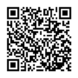 不仅凭借厚土珠的力量硬是抵挡住了五个同阶魔修的攻击二维码生成