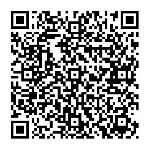 不仅如此 他一击得手之后 更是快速上前 在人形鳄鱼还沒有反映过來的时候 抡起拳头便是一阵狂轰乱炸二维码生成