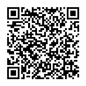 不仅是外在的乡民邻居拜倒在了他们四张粉嫩嫩的小脸和古灵精怪之二维码生成