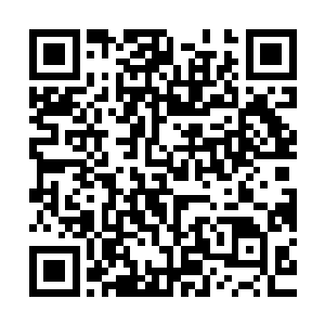 不仅是录下了李思辰将球踢到门框反弹回来击中罗道脸的那一幕二维码生成