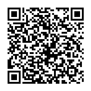 不会只有这本笔记凭借着这几年来与生死对抗而养成的强大意志力二维码生成