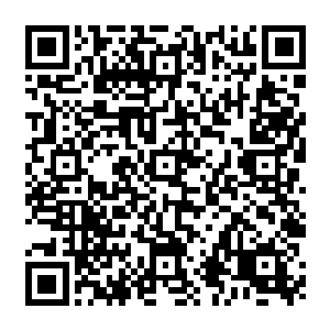 不会放过你和你的那几个孩子……到时候苏府下一代唯一或者的就是苏落一个……二维码生成