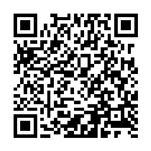 不会让你为难的……哪个是……怎么这么多漂亮姐妹啊……二维码生成