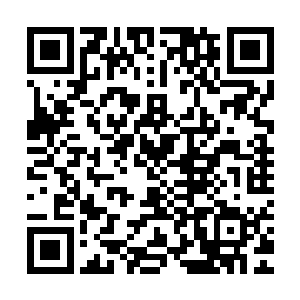 不但将那个被陈太重他们重伤的修士使用万兽嗤魂之法日夜折磨二维码生成