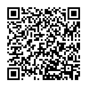 不信邪外加不死心的叶笑干脆动用糅合紫极玄力的精神力仔仔细细的查看二维码生成
