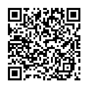 不再是表露在外面了……已经被秦方的真气彻底的融合了二维码生成