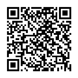 不再满足于简单生活的他们开始为了争夺各种资源而战斗二维码生成