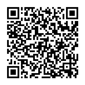 不到半天时间定王回京了住在京城最豪华的客栈的消息就已经传遍了整个京城二维码生成