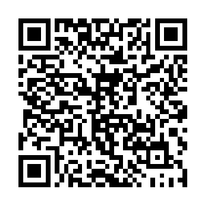不动声色的再次仔仔细细的打量着这些人所站的方位二维码生成