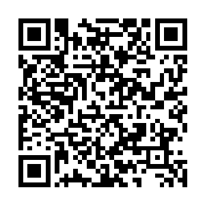 不只是宗族奴役百姓……小皇帝就算把福建的宗族杀过一遍二维码生成