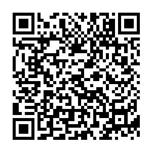 不可一世的雷欢喜居然在表演的时候弄死了一条如此充满灵性的鲨鱼二维码生成