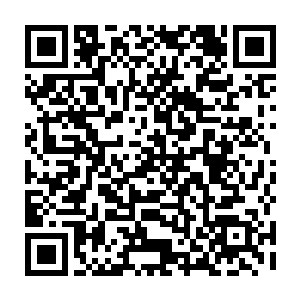 不可否认牟晨菲这有点浪漫的行为如果放在一般姑娘做起来可能就没什么问题二维码生成