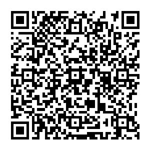 不可能　我的极限怎么才这么几颗　我可是有着大圣血统　就算再差也比陆逊那孙子强才对　二维码生成