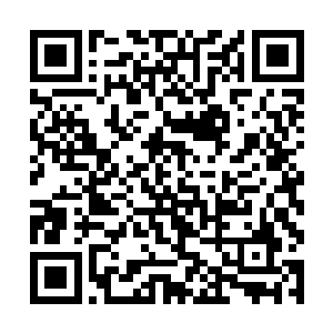不可能看着秦宇在他们的眼皮底下杀死御兽峰的峰主二维码生成