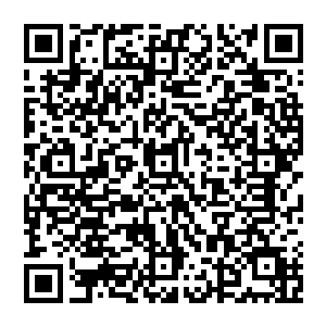 不多时 忽然闷哼一声从空中跌落 啪的一声掉落在地 良久之后才挣扎起來 眼中忽然流下两行血泪二维码生成