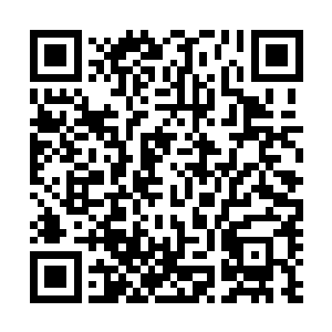 不如带你去看看你四表哥的新房……总在这里坐着也是无趣二维码生成