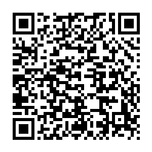 不完全是那些只叫兽们痛批的什么功利实用的民族性――奥斯卡按二维码生成