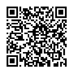 不容分说的就给两小各自的抓了一把塞到了他们的兜里面二维码生成