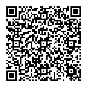 不对……绝不是一般的病毒……刚才那组代码的级别是前所未见的……就连我这一级衍生者都……二维码生成