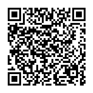 不少人总算明白教官为什么会选择这两个女生去参加所谓的格斗比试了二维码生成