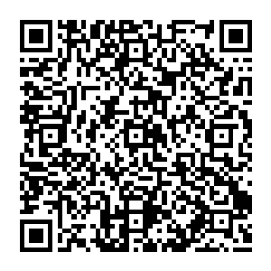 不少刚刚被小九的吼声给震的坠落到地面还不容易稳住重新升空的传奇宗师又被这鹰啼之声给震的再次掉落下去二维码生成