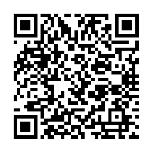 不就是因为我在青芙城第一个揭开了暗皇神殿的老底二维码生成