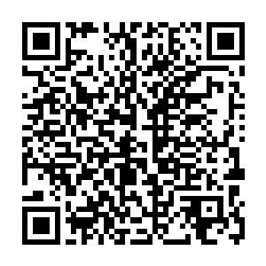 不得不仰赖于少数御林军以及大量战斗傀儡部队以及全自动化防御阵地来守护二维码生成