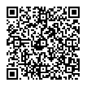 不得不说谭振文口中着重描述的这个卡洛邓立的形象跟他的经历似乎有着极其相似之处二维码生成