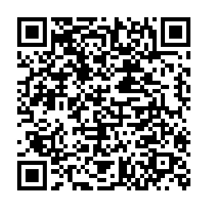 不得不说这个世界的灵兽愚蠢又充满了人类难以企及的大无畏精神二维码生成