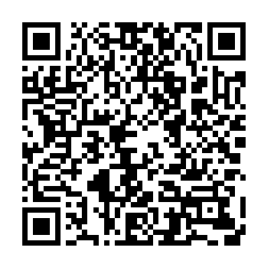 不得不说长着一张相当漂亮娃娃脸的齐蓓蓓的确在某些方面是有优势的二维码生成