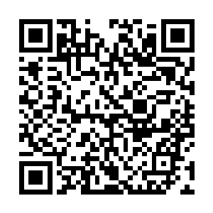 不忍看到这样一幕的……他都已经算是极力的在提防了二维码生成