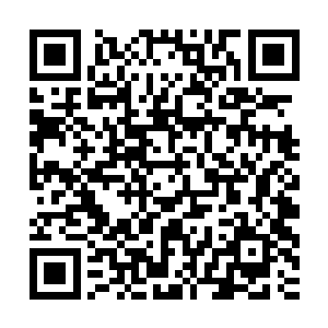 不急迫的原因主要是嫁衣已由靖安公府的绣娘加班加点地制做了二维码生成