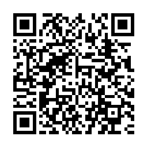 不愧是伍迪开发的程序……不但按比例缩小了人物的服装和发型二维码生成