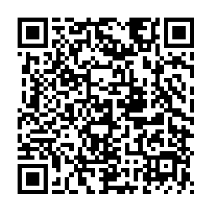 不愿意投降女真又或是没有价值的伤残的俘虏此时都已经受过严刑二维码生成