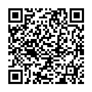 不排除有一些评委投她们做第一名以后确实认为你可以做第二名二维码生成