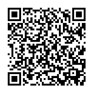 不排除这是某种细菌或者物质受到核污染发生变异而进化成的一种新型病毒二维码生成