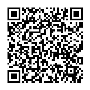 不敢置信地看着那辆警车在他眼皮子底下生生地从悬崖上摔了下去二维码生成