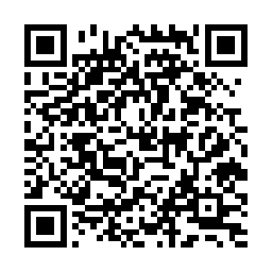 不敢置信的看着电视墙一半的屏幕上显示出来的画面二维码生成