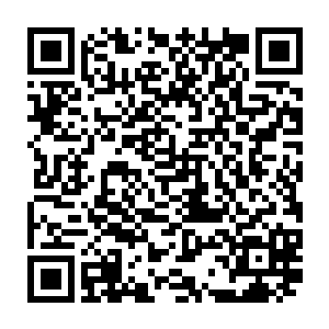 不时抬头看一眼面前几个笑眯眯轻声和他说着话想买他怀里玉盒里的灵器二维码生成