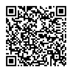 不时跳跃着代表海利亚方的红色亮点与以及代表彼方机甲师的绿色亮点二维码生成