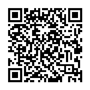 不明白林放好端端的怎么忽然间用匕首抵在武田雄的咽喉二维码生成