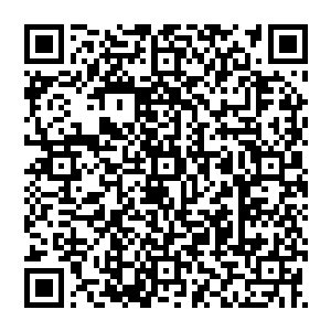 不是……你们天一道弟子大部分都是死在辰阳宗和星月宗那……陌尘仙子……我知道对夏长老而言很重要二维码生成