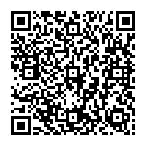 不是你动动嘴皮子说怎么怎么着我就得听从你的话去怎么怎么着的小跑腿的贱命短工二维码生成