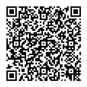 不是我看不起你们就凭你们一群散修组织在一起就想要跟那些超级势力抗衡简直就是痴心妄想二维码生成