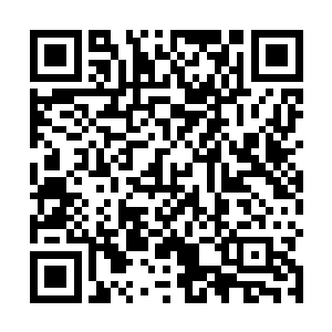 不是法律规定国王的婚姻必须得到梵蒂冈教皇的同意么二维码生成