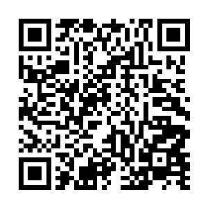 不是被夜染的无敌小队狠狠耍了一通的梦幻神队又是谁二维码生成