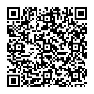 不止一次怀疑过她现在这样的变本加厉到底是因为那未知的影响还是她顺水推舟的肆意二维码生成