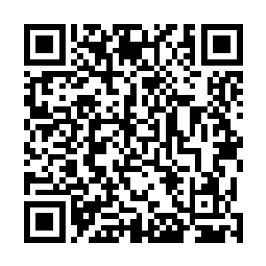 不正跟一个月前扇轻罗在突破时弄出来的蚕蛹一般模样么二维码生成
