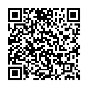 不死印法根本没办法卸掉或化解这种诡异的攻击二维码生成